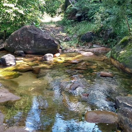 Hotel Fazenda Monte Crista Rio Bonito  エクステリア 写真